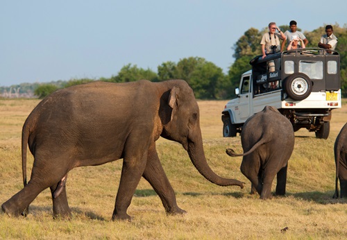 15 daagse privé rondreis met gids chauffeur klassiek sri lanka